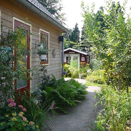 Zonneraai Villa Nieuweroord Esterno foto