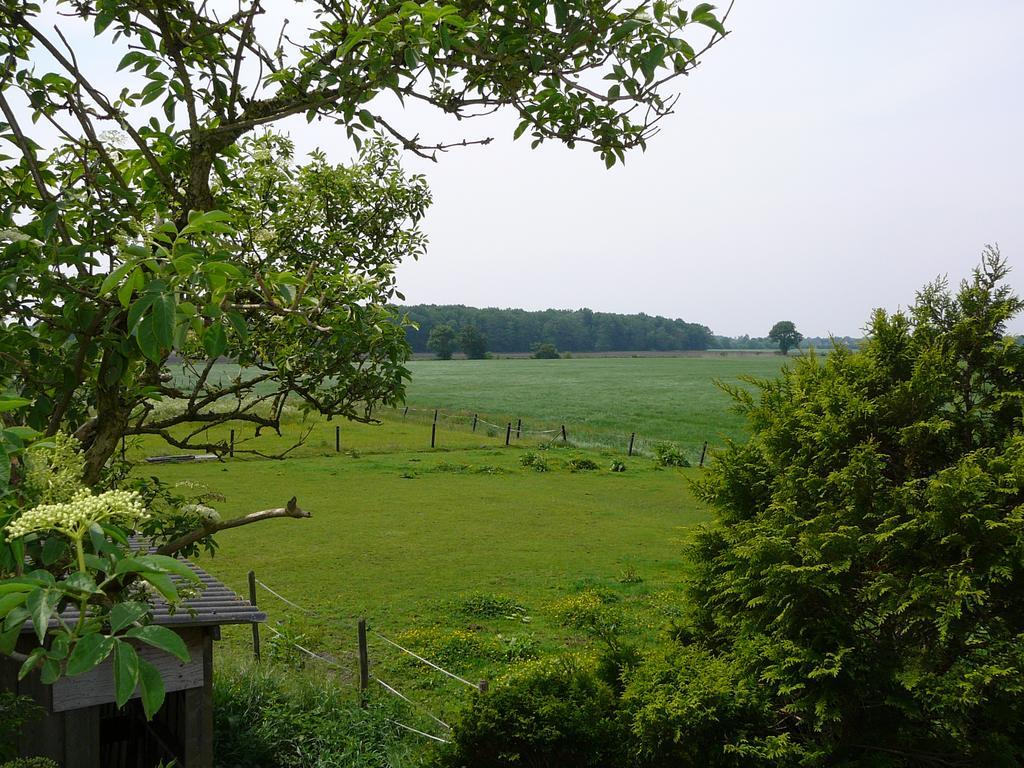 Zonneraai Villa Nieuweroord Esterno foto