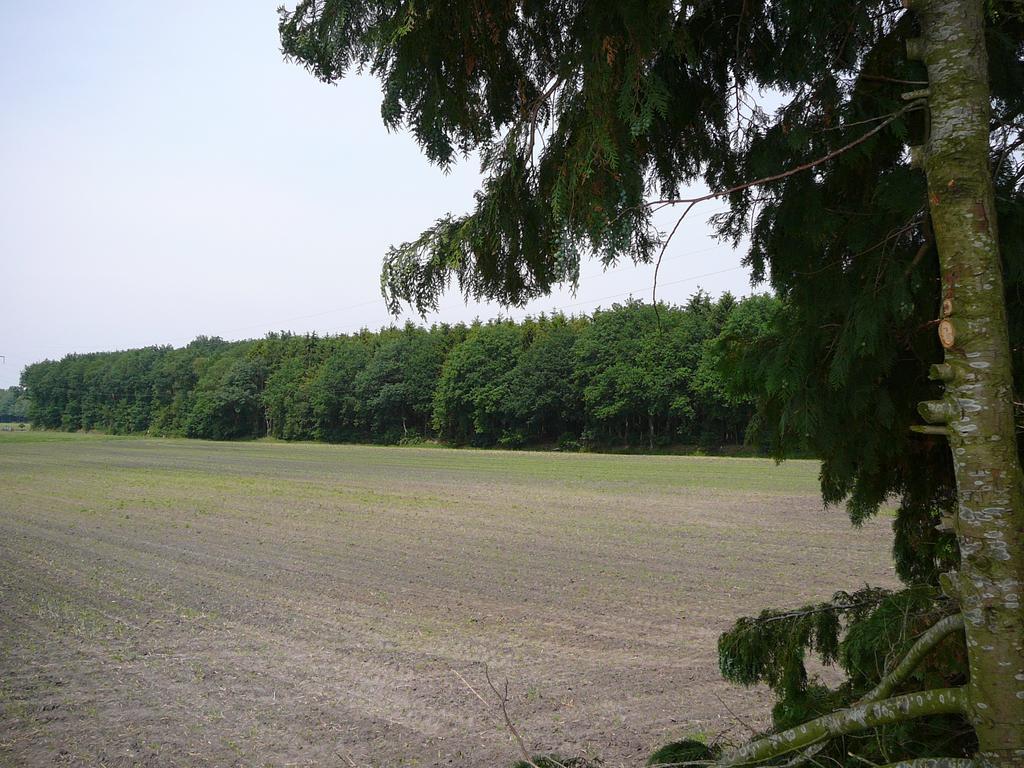 Zonneraai Villa Nieuweroord Esterno foto
