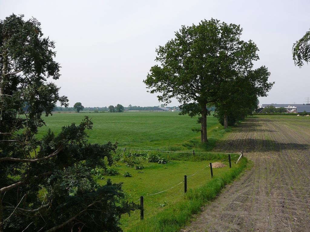 Zonneraai Villa Nieuweroord Esterno foto