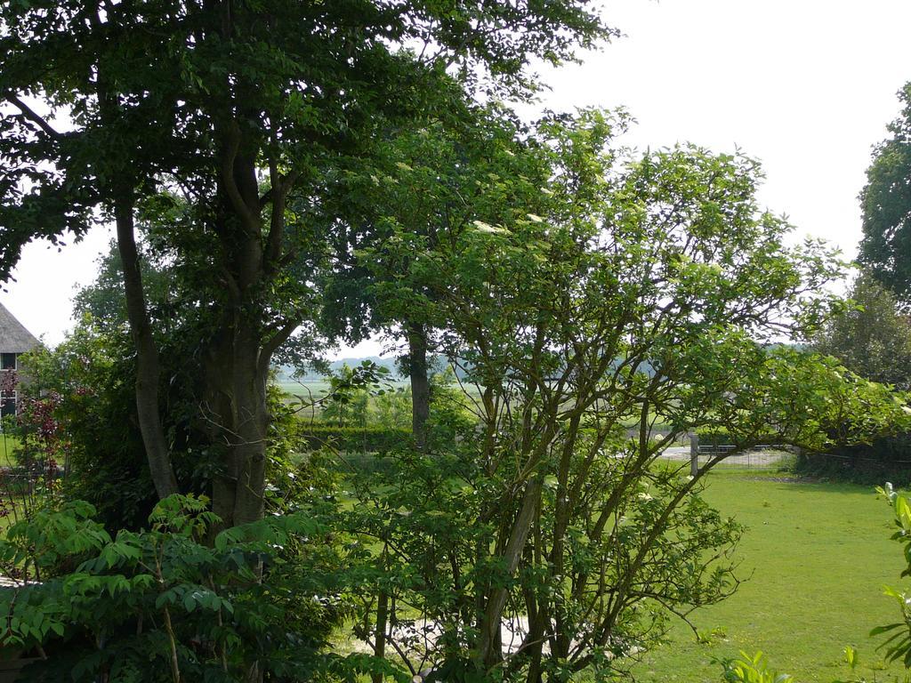 Zonneraai Villa Nieuweroord Esterno foto